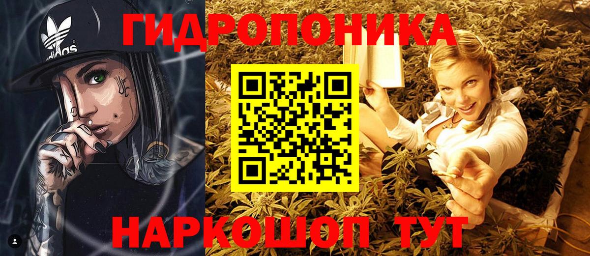 Дальнереченск  Конопля планчик  Шишки марихуана индика  Марихуана ГИДРОПОН  Бошки Шишки ГИДРОПОН  Вход с VPN 